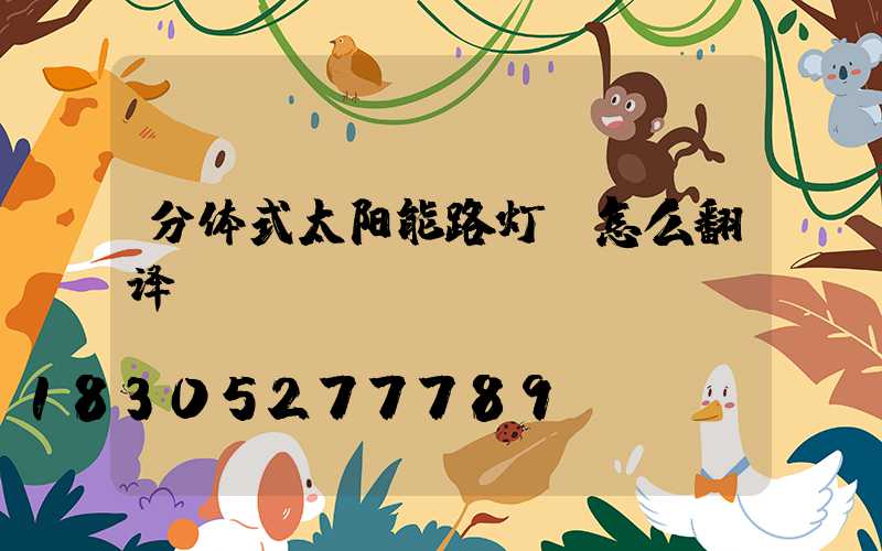 分体式太阳能路灯 怎么翻译